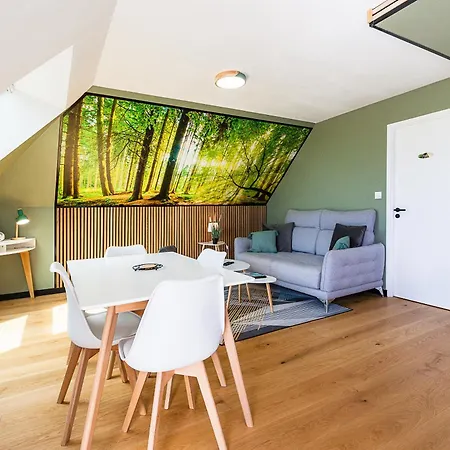 Appartamento Aquagite - Terrasse - Parking - Proche Baden